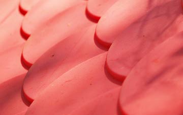 Ashwicken plastic roof costs