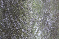 Ashwicken fibreglass roof work